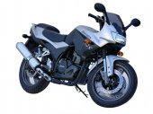 2006 Zongshen GS 250 photo